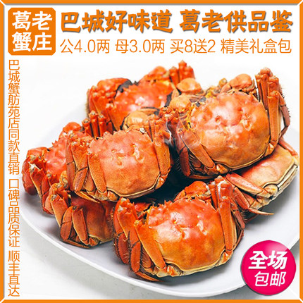 现货巴城大闸蟹鲜活特大螃蟹公蟹4.0两母蟹3.0两10只礼盒装