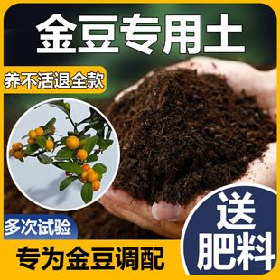 金豆专用土室内盆栽植物盆景肥料泥土酸性沙质土壤金豆专用营养土