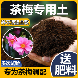 茶梅专用土茶梅土专用土盆栽盆景肥料酸性沙质土壤茶梅专用营养土
