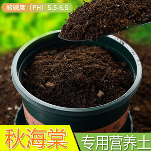 秋海棠专用土秋叶海棠花观叶植物沙土壤肥料鳟鱼秋海棠专用营养土