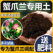 蟹爪兰专用土螃蟹抓莲绿植土壤蟹爪莲专用土嫁接蟹爪兰专用营养土