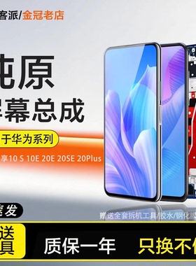 适用畅享10 S屏幕总成10plus内9S外20pro手机10E 20E 20plus 9E