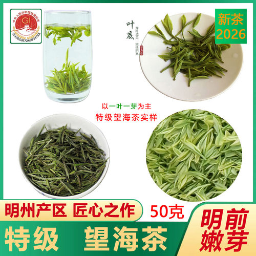 特级望海茶50克20265年明前新茶