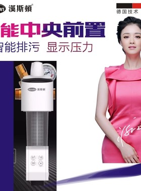 汉斯顿净水器前置过滤器自动排污反冲洗过滤器HSD-M2W