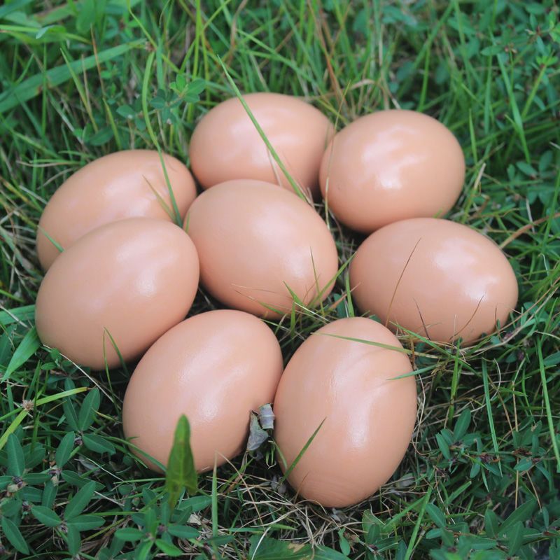 仿真鸡蛋实木实心假鸡蛋鸭蛋儿童手绘过家家diy木质彩蛋玩具引蛋