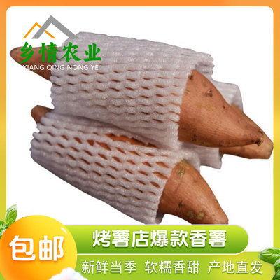 软糯香甜榆林红薯绥德县香蕉薯