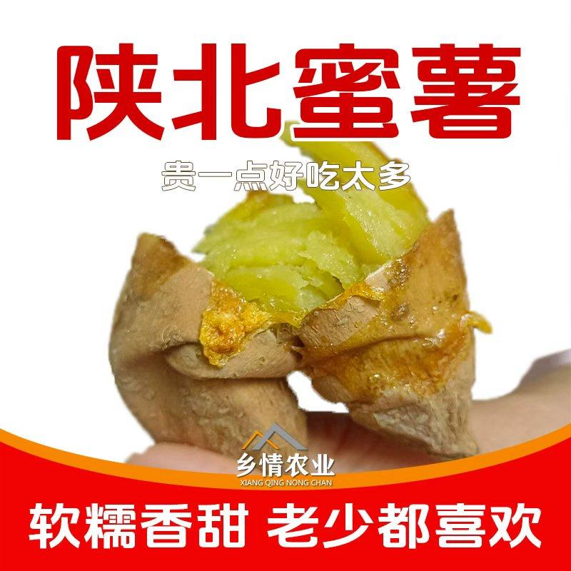 陕北榆林绥德白玉香蕉沙地红薯当季新鲜黄心黄皮地瓜番薯整箱包邮
