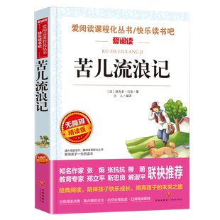 苦儿流浪记埃克多马洛原著正版必小学生课外阅读书籍三年级四五六青少年人民儿童文学教育读物天地出版社注释全集完整版老师推荐