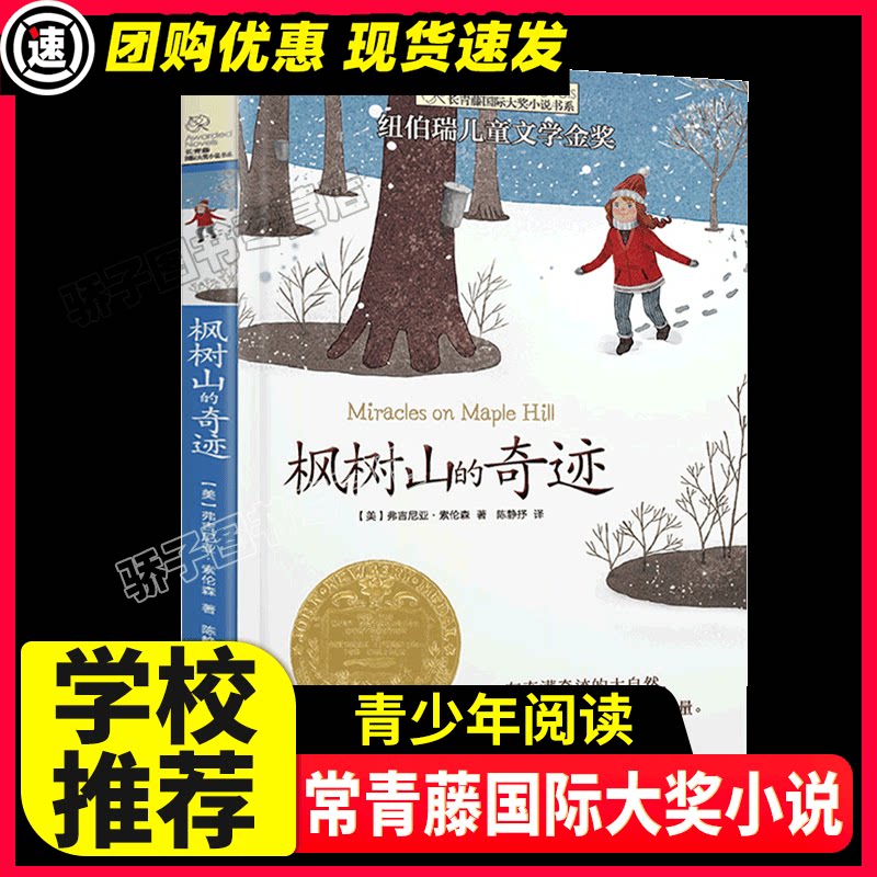 枫树山的奇迹 长青藤大奖小说书系列 儿童文学 8-10-12岁小学生初中