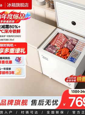 美的143/203L冰柜家用小型迷你冷柜冷冻冷藏一级减霜母乳官方冰箱