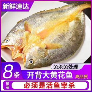 黄鱼鲞开背新鲜冷冻黄花鱼三去黄鱼生鲜小黄鱼烧烤商用半成品批发