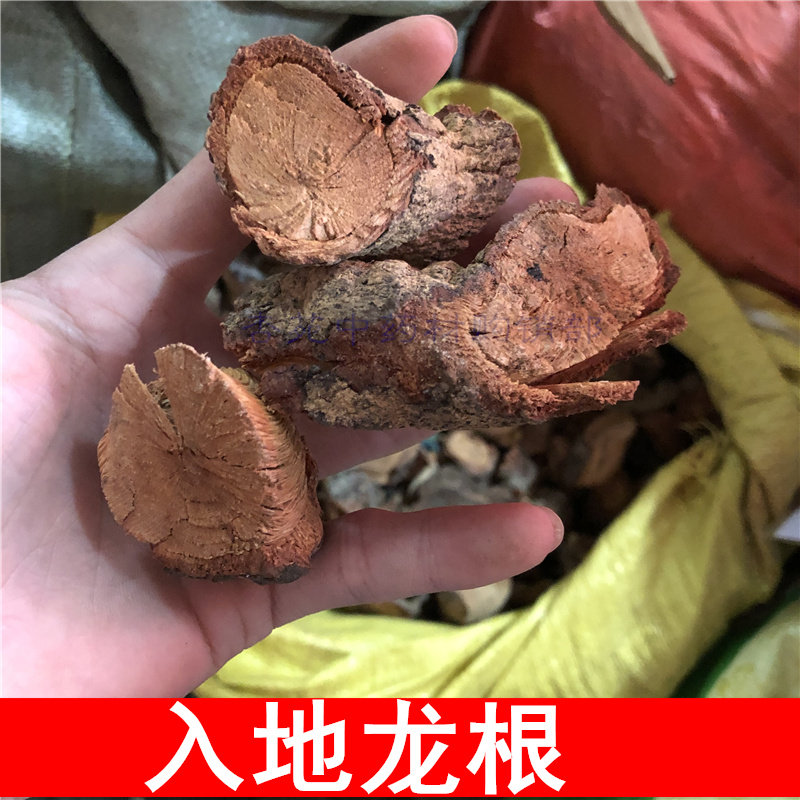 中药材 咸酸根500克入地龙大叶酸味根酸藤果根,传统滋补营养品,其他药食同源食品,淘宝优惠券,粉丝福利购,淘宝优惠卷