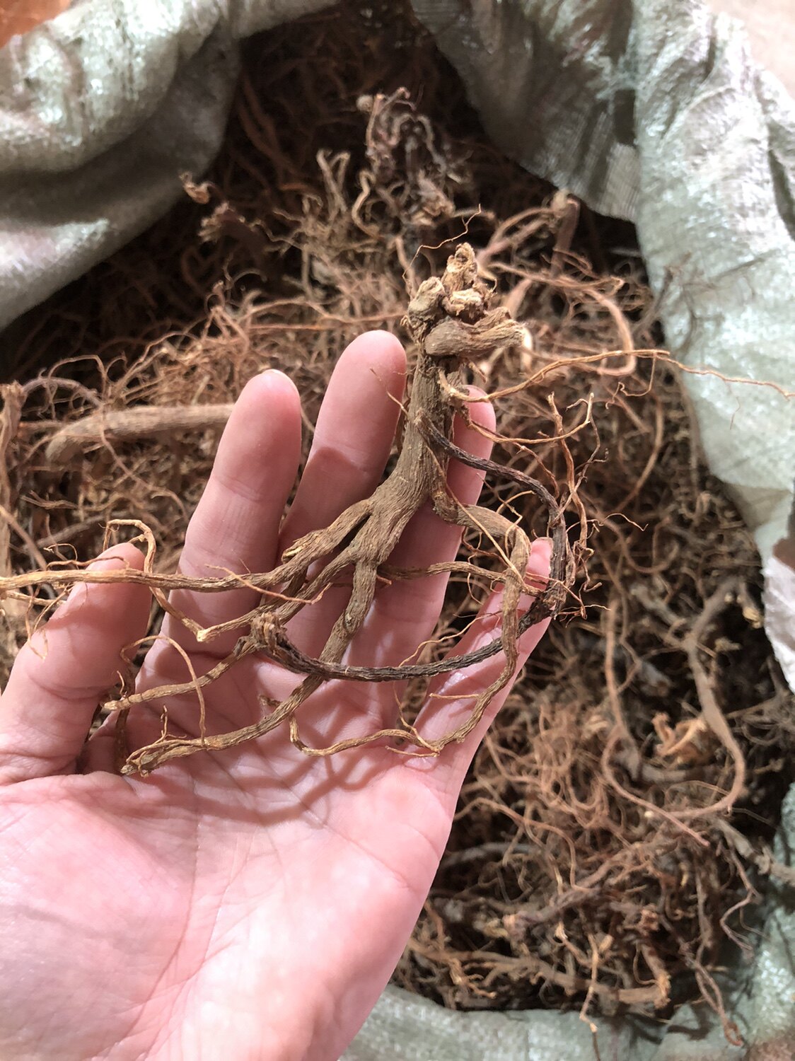 雾水葛根 中药材500g克雾水葛根干货 脓见消根咄脓膏 糯米藤根