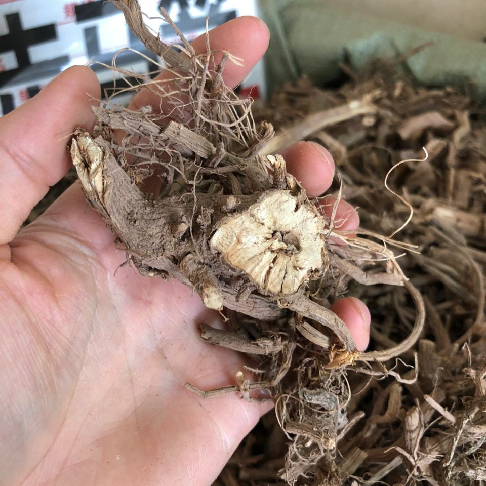 中药材走马箭500g八棱麻八里麻 陆英 中草药接骨草