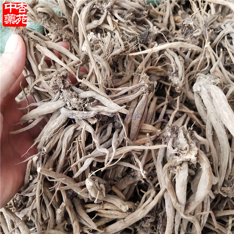 500克包邮大大蓟根菜猫蓟中草药