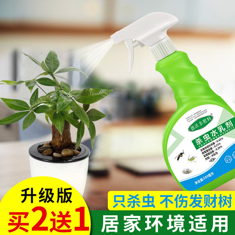 室内植物除虫价格 室内植物除虫图片 星期三