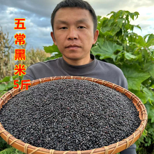 东北黑龙江黑米黑香米