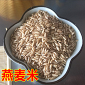 雀麦 野麦 煮粥燕麦粒 生燕麦仁农家 2025年新货东北燕麦米