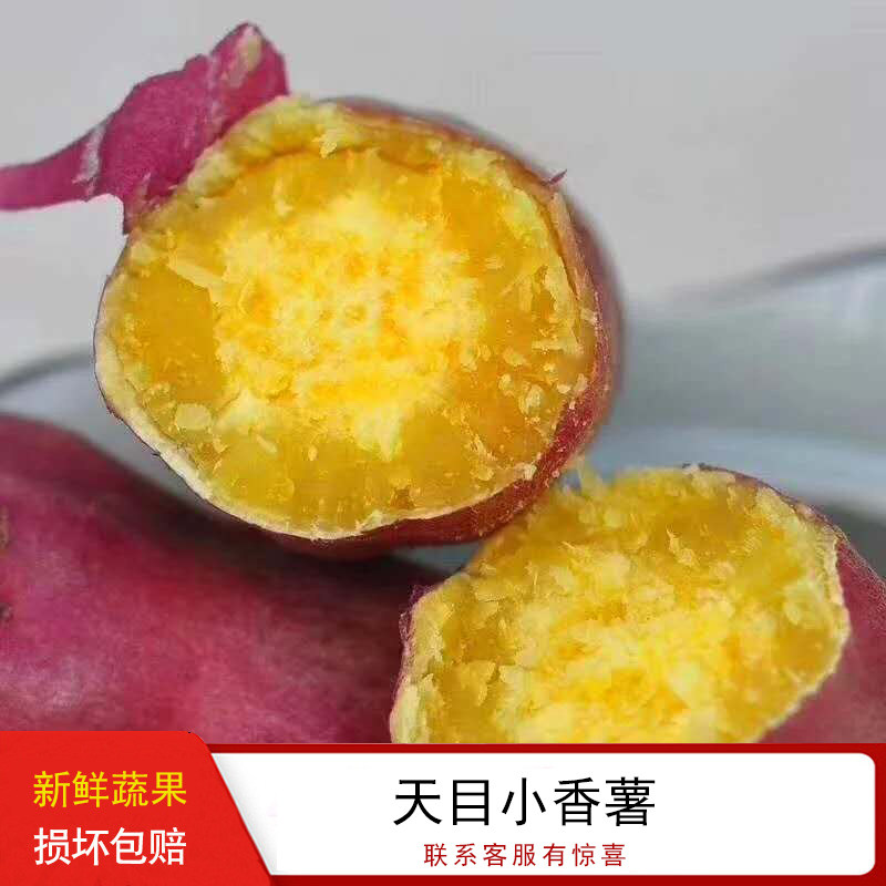 临安天目山小香薯板栗小番薯金手指小香著小香暑地瓜黄心红薯5斤