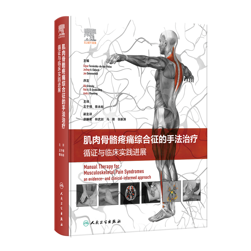 肌肉骨骼疼痛综合征的手法治疗 循证与临床实践进展 正版书籍 新华书店旗舰店文轩官网 人民卫生出版社