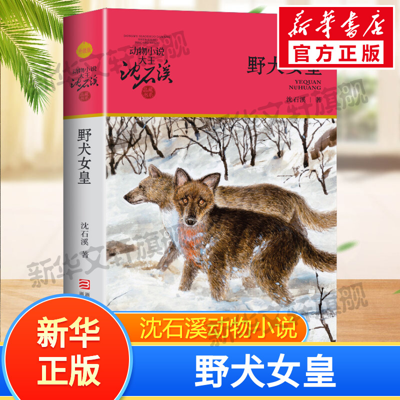 野犬女皇/动物小说大王沈石溪品藏书系 少儿童文学小说寓言故事书老师推荐儿童书8-10-12周岁儿童文学三四五六年级小学生课外阅读图片
