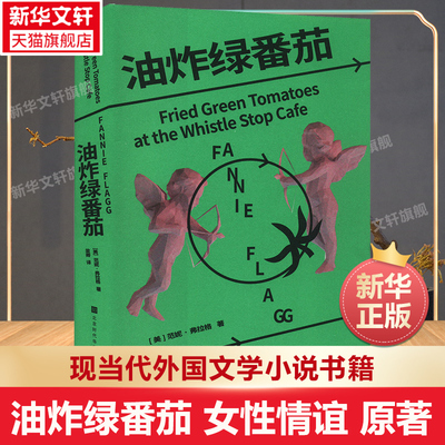 油炸绿番茄 女性情谊影视原著同名电影原著小说 范妮弗拉格 外国小说女性文学 我的天才女友 聊天记录 新华书店旗舰店官方旗舰店