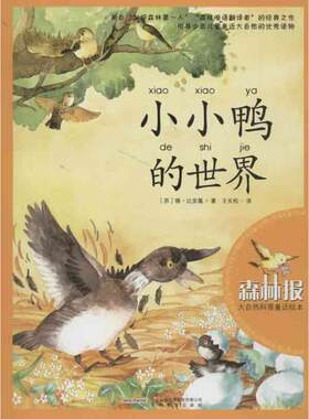 【新华文轩】大自然科普童话绘本•小小鸭的世界 (苏)比安基 正版书籍 新华书店旗舰店文轩官网 安徽教育出版社