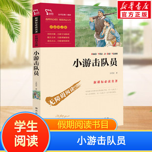 【新华文轩】小游击队员 王愿坚 正版书籍 新华书店旗舰店文轩官网 南方出版社