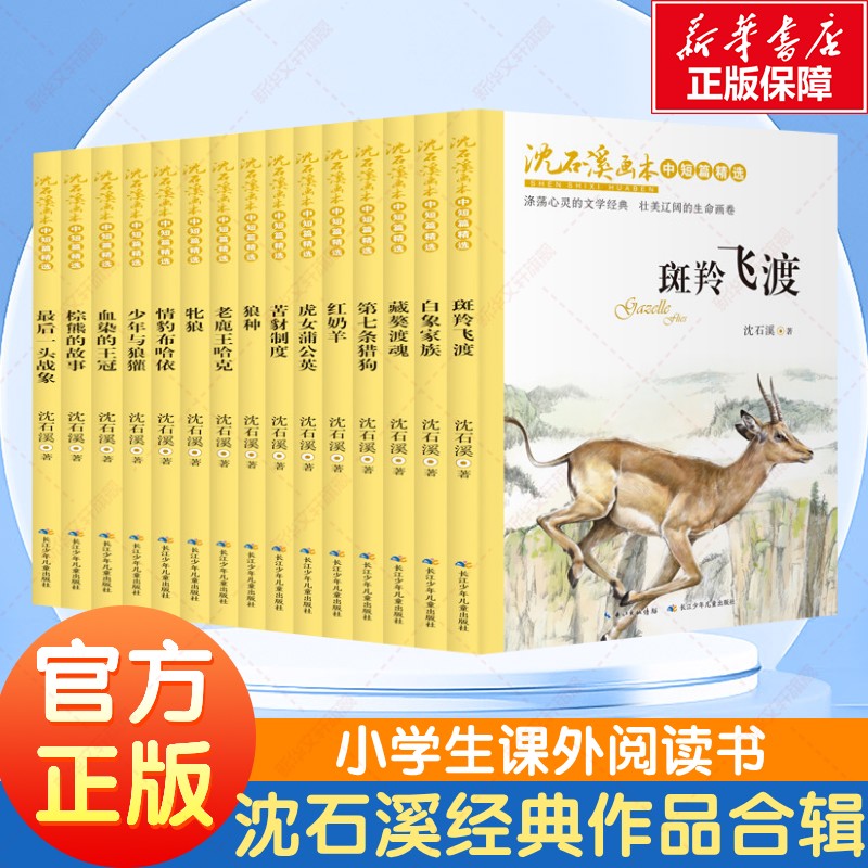 沈石溪画本系列动物小说大王故事书第七条猎狗藏獒渡魂老鹿王哈克红奶羊斑羚飞渡退役军犬黄狐牧羊神豹牝狼白象家族小学生课外书籍
