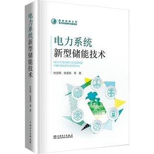 等 正版 中国电力出版 书籍 电力系统新型储能技术 新华文轩 杜忠明 新华书店旗舰店文轩官网 社