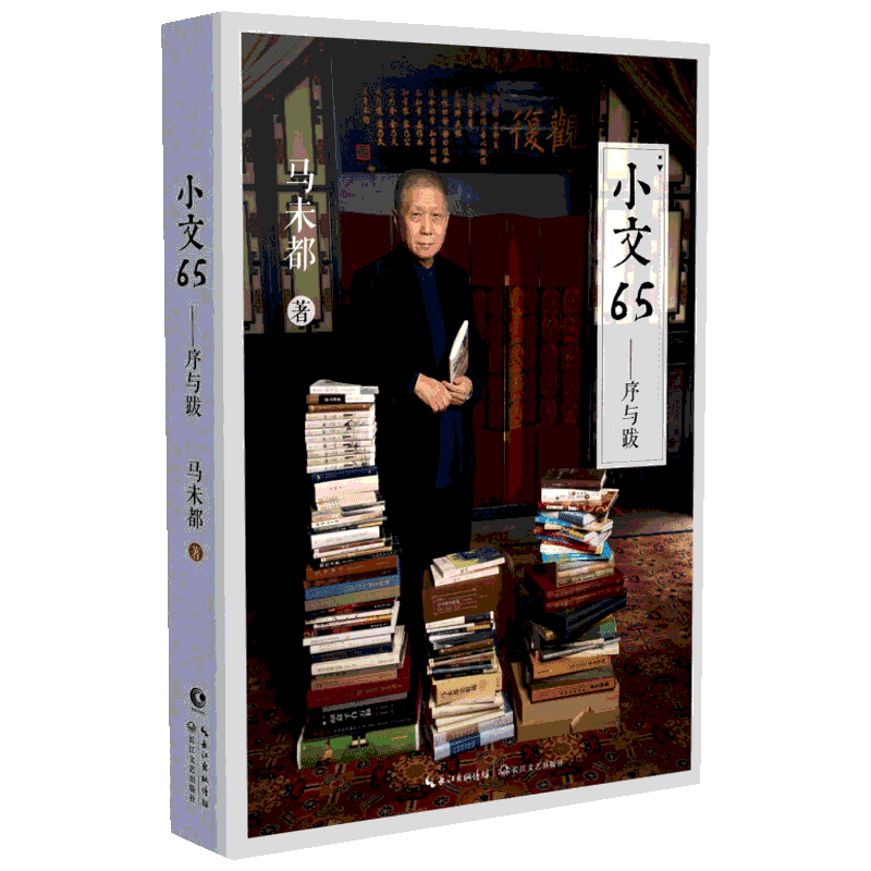 【新华文轩】小文65:马未都 马未都 正版书籍小说畅销书 新华书店旗舰店文轩官网 长江文艺出版社