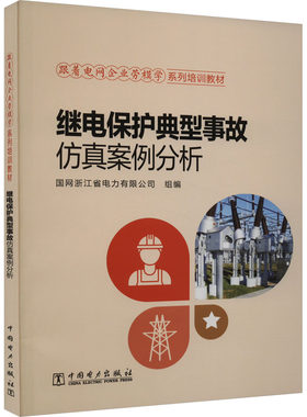 继电保护典型事故仿真案例分析 正版书籍 新华书店旗舰店文轩官网 中国电力出版社