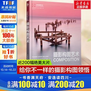 摄影构图艺术 单反摄影构图技法教程书籍从入门到精通新手学技巧书 摄影构图与色彩设计基础教程近200幅绝美摄影名作剖析数码