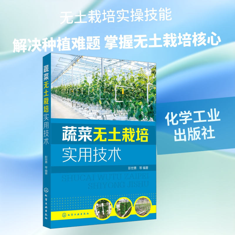 蔬菜无土栽培实用技术 果蔬菜类叶菜类蔬菜芽苗菜高效绿色种植技术教程 大棚果蔬蔬菜 化学工业出版社 正版书籍