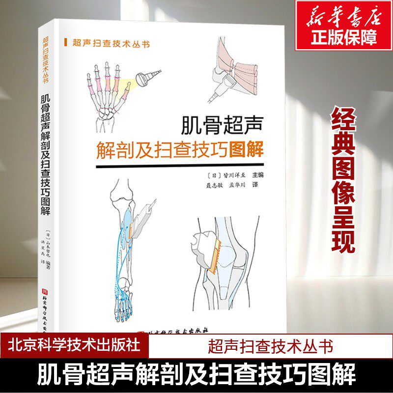 肌骨超声解剖及扫查技巧图解 诊断学医学影像图谱人体断层彩超书籍正常值测量备忘录技术入门b超血管肌骨心超笔记腹部精细讲解解剖