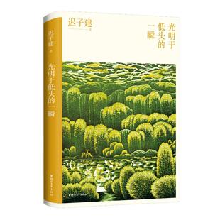 光明于低头的一瞬(茅盾文学奖得主迟子建散文自选集全球漫游的旅行记带你去看繁华世界迟子建 著文学散文浙江文艺出版社