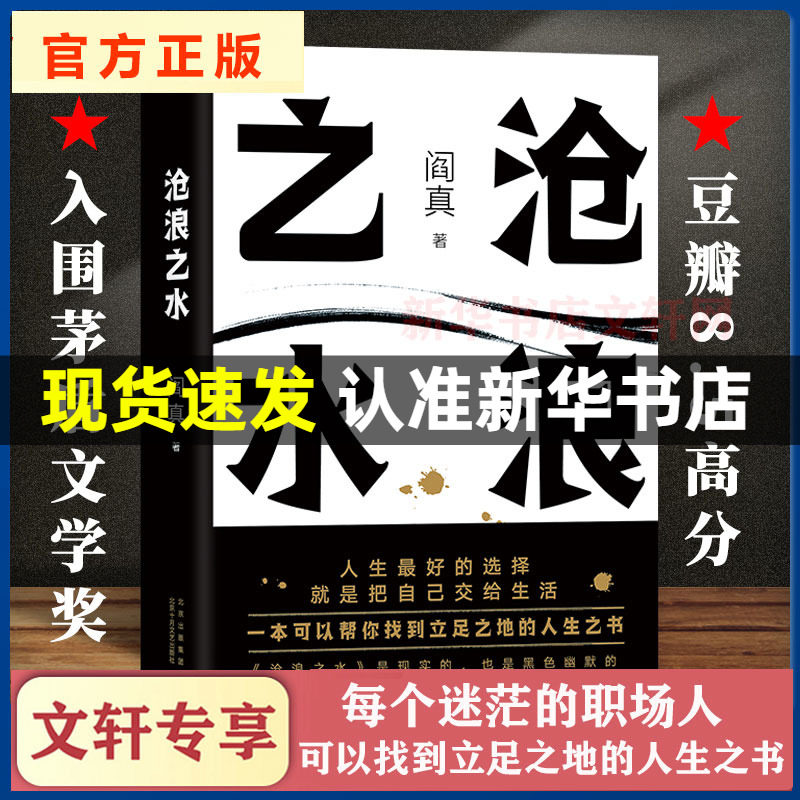 【正版包邮】沧浪之水 阎真 经典官场小说 现当代小说 阎真 活着之上 岁月 正版书籍 新华书店旗舰店 短篇长篇小说畅销书籍排行榜怎么样,好用不?
