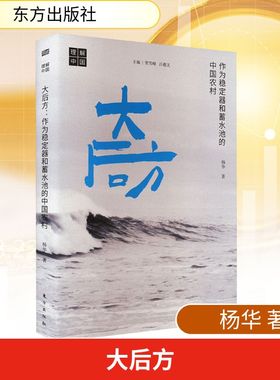 大后方 作为稳定器和蓄水池的中国农村 杨华 东方出版社 正版书籍 新华书店旗舰店文轩官网