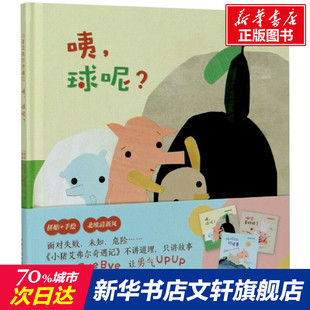【新华文轩】小猪艾弗尔奇遇记 咦,球呢? (挪)玛丽安·尼加德,(挪)乔根·诺德利 正版书籍 新华书店旗舰店文轩官网
