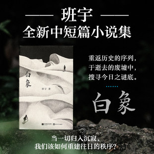 白象 班宇著 正版中短篇小说集 收录飞鸟与地下狐及其友关河令清水心跳 冬泳逍遥游作者作品 现当代文学散文随笔 新华书店旗舰店