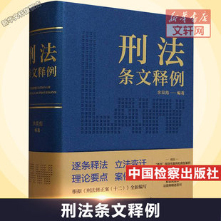 刑法条文释例 中国检察出版社 正版书籍 新华书店旗舰店文轩官网