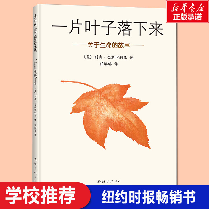 一片叶子落下来关于生命的故事