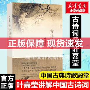 叶嘉莹著 迦陵谈词 诗正版 新华文轩 书籍古典文学理论中国古诗词 曲全唐诗三百首给孩子 古诗词课 唐诗宋词元 叶嘉莹古诗词课