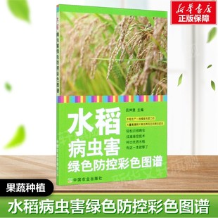 正版 果蔬栽培种植业系列书 书籍 社 蔬菜瓜果栽种参考工具书应用指南书籍 中国农业出版 水稻病虫害绿色防控彩色图谱