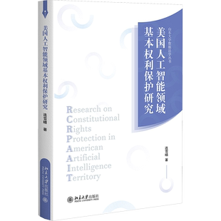美国人工智能领域基本权利保护研究 连雪晴 北京大学出版社 正版书籍 新华书店旗舰店文轩官网