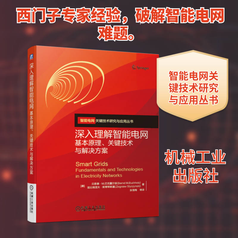 深入理解智能电网:基本原理.关键技术与解决方案 [德]贝恩德·Ｍ.巴克霍尔兹Bernd M.Buchholz 等图片