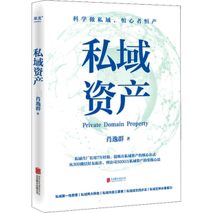 私域资产 肖逸群  私域肖厂长7年经验提炼的私域资产核心公式 一步步帮你打造私域资产 北京联合出版公司