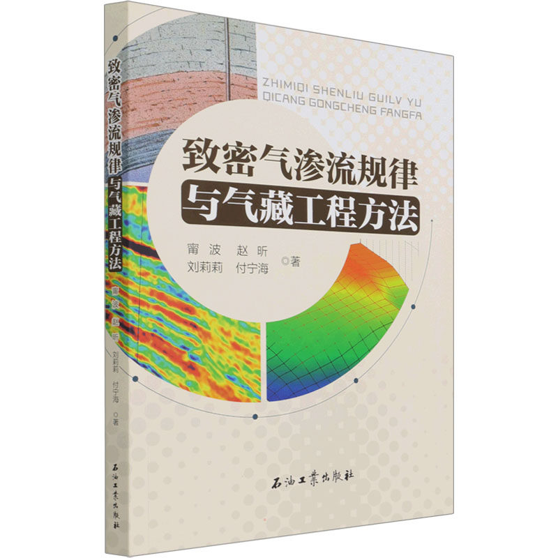 致密气渗流规律与气藏工程方法 甯波 等 正版书籍 新华书店旗舰店文轩官网 石油工业出版社