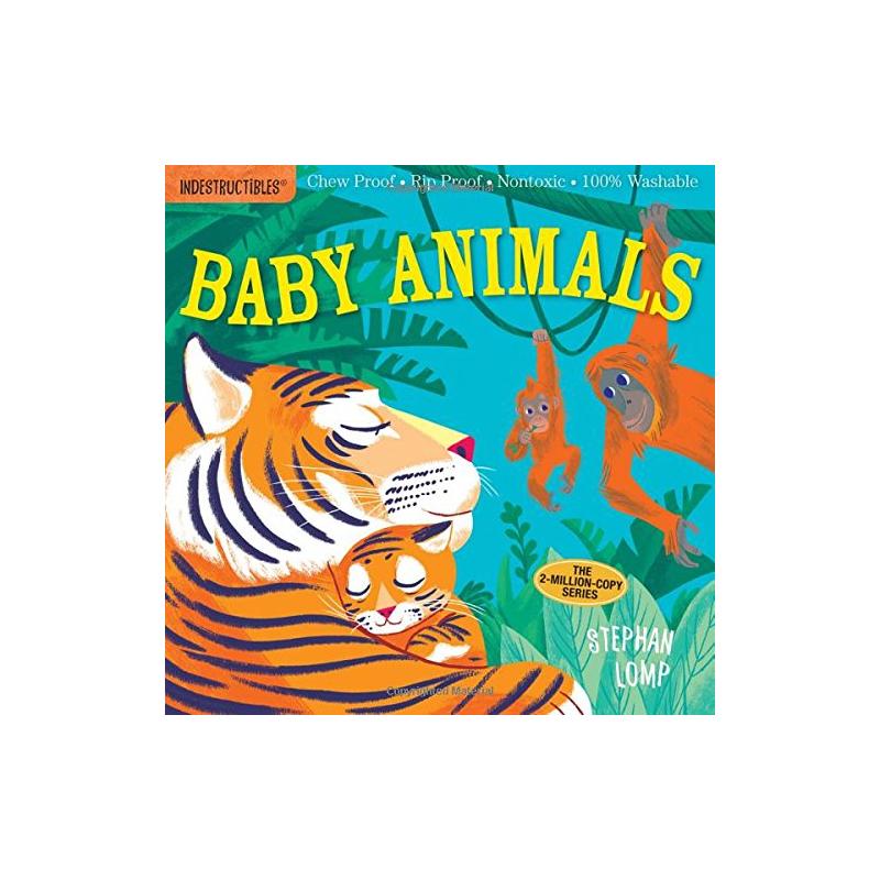 新华书店正版进口原版-低幼启蒙文轩网