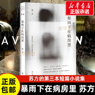 社现当代文学 单读系列苏方短篇小说集收录上海文艺出版 另著一些时刻 异乡记 社 现货速发 畅销书籍上海文艺出版 暴雨下在病房里